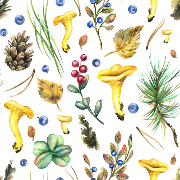 Champignons de chanterelle comestibles de forêt avec des cônes de bleuets, des feuilles et des brindilles d'automne, illustration à l'aquarelle dessinée à la main, motif sans couture sur fond blanc