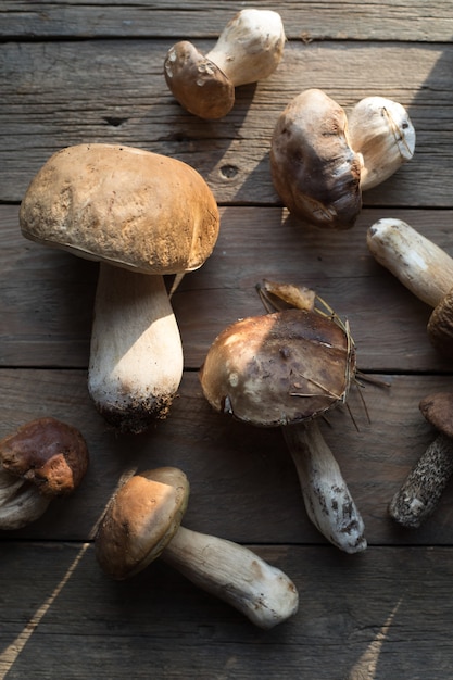 Champignons comestibles forestiers se bouchent. Ceps boletus edulis sur fond de bois, table rustique.