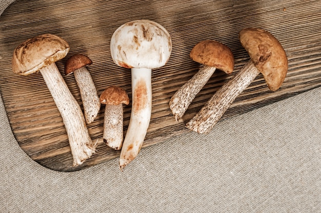 Champignons comestibles de la forêt sur fond en bois