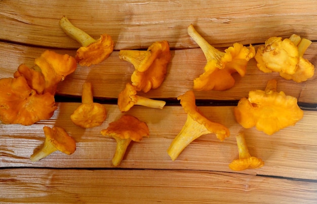 Champignons comestibles jaune chanterelle avec fougère verte sur fond de bois naturel