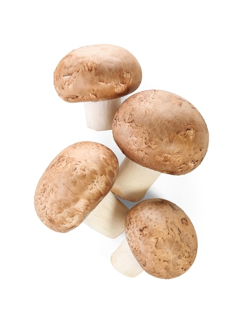 Champignons cremini crus sur fond blanc