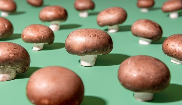 Champignons crus alignés sur fond vert