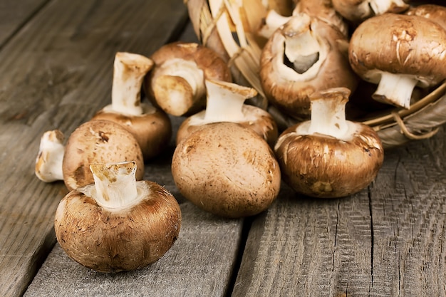 Champignons crus avec chapeau brun