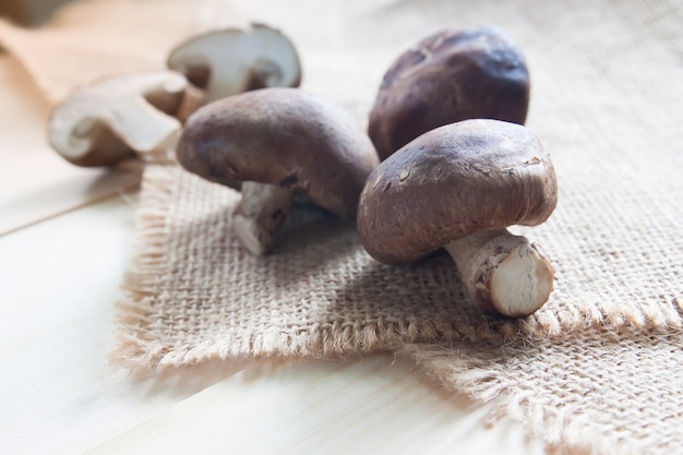 Champignons crus et frais sur un sac