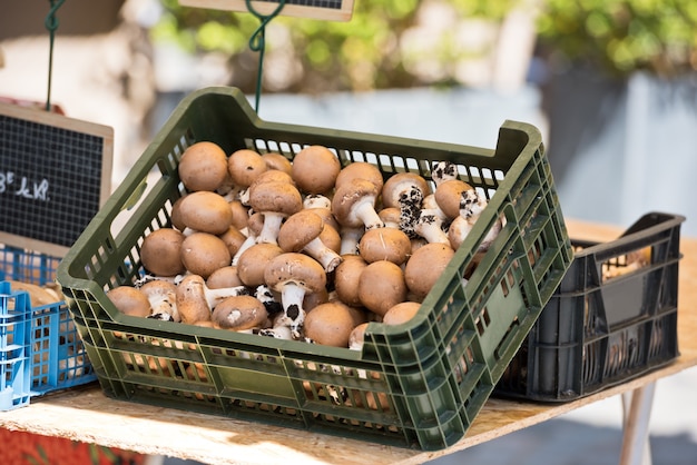 Champignons dans une boîte en plastique sur un marché agricole. Prise de vue horizontale