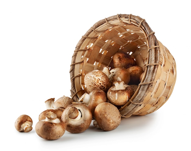 Champignons dans un panier en osier