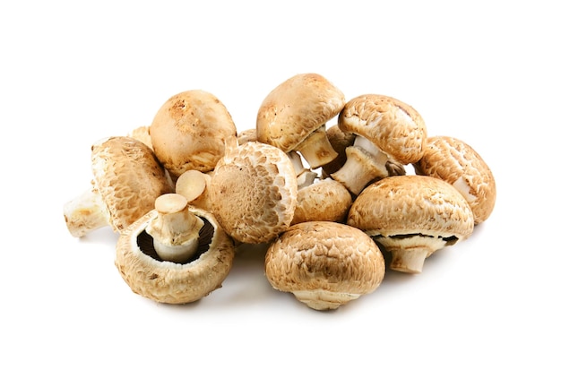 Champignons sur fond blanc