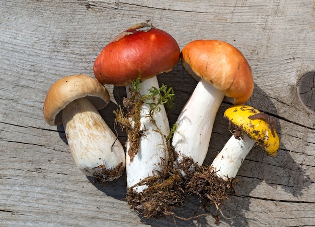 Champignons sur fond en bois. Variété de champignons crus sur table. Cèpes d'automne.