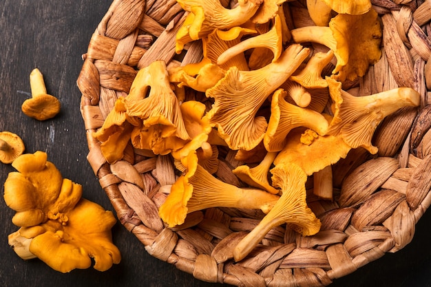 Champignons forestiers chanterelles et mousse de forêt sur un vieux fond en bois. Cru non cuit dans un bol en rotin sur fond de texture marron. Maquette. Vue de dessus.