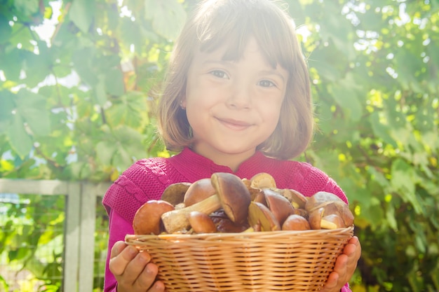 Champignons forestiers entre les mains d&#39;un enfant. Mise au point sélective.