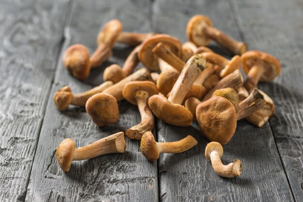 Champignons forestiers fraîchement cueillis sur une table en bois noir