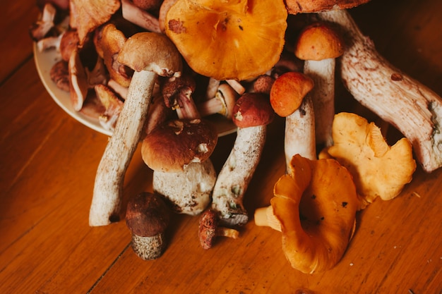 Champignons forestiers frais sur une surface en bois rouge par une journée ensoleillée.