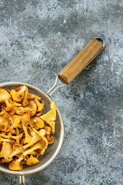 Champignons forestiers girolles