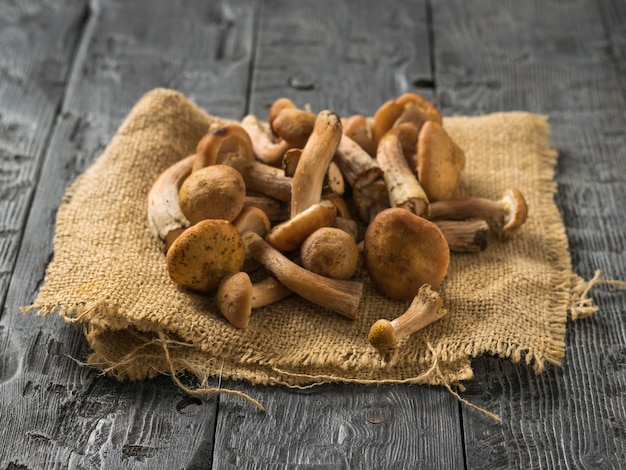 Champignons de la forêt d'automne sur la toile de jute sur une table en bois