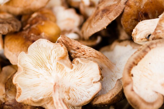 Champignons frais au marché fermier local.