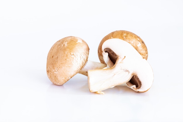 Champignons frais sur blanc