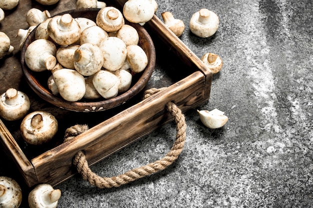 Champignons frais dans un bol.