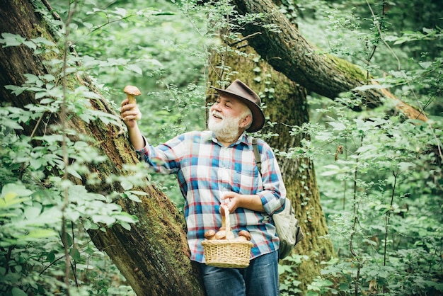Champignons frais dans les mains de l'homme homme mûr avec des champignons dans le panier sur fond de forêt