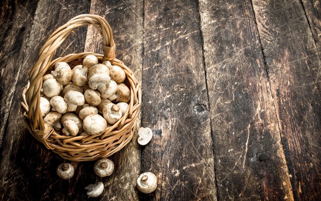 Champignons frais dans un panier.