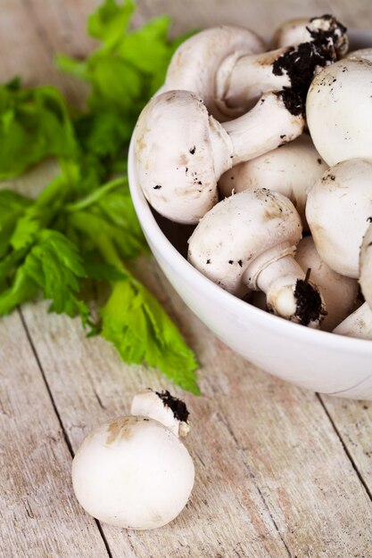 champignons frais avec du persil dans un bol