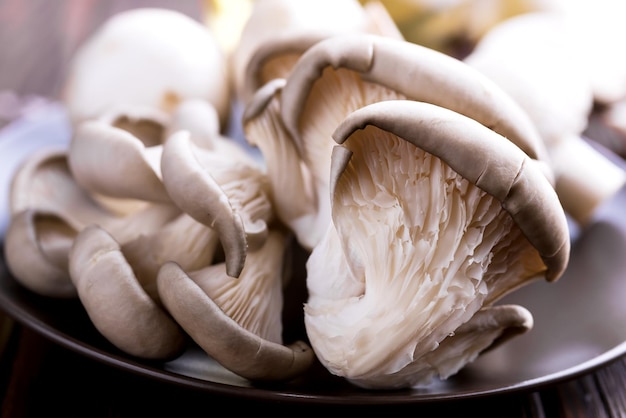 Champignons frais sur un fond en bois