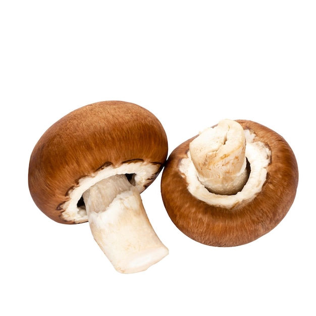 Champignons frais isolés sur blanc