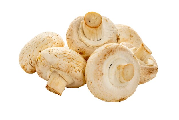 Champignons frais isolés sur fond blanc gros plan