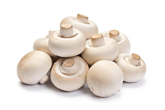 Champignons frais isolés sur fond blanc