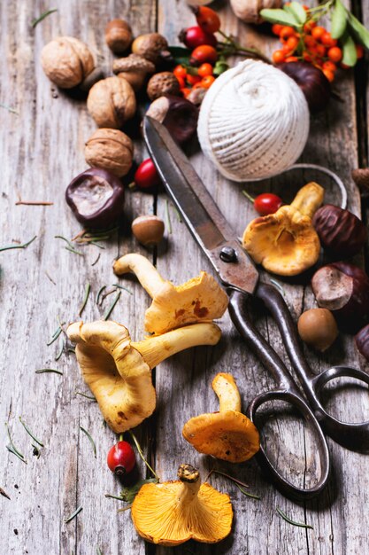 Photo champignons girolles aux vieux ciseaux