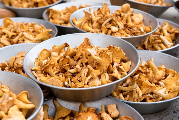 Champignons girolles dans des bols métalliques