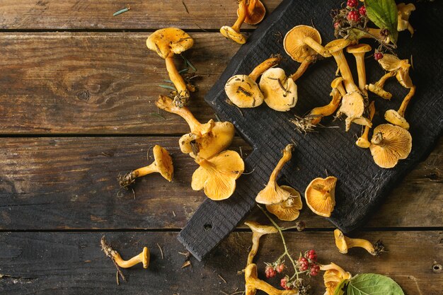 Champignons girolles Forrest