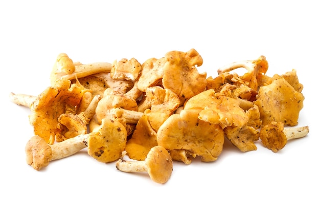 Champignons girolles isolé sur fond blanc