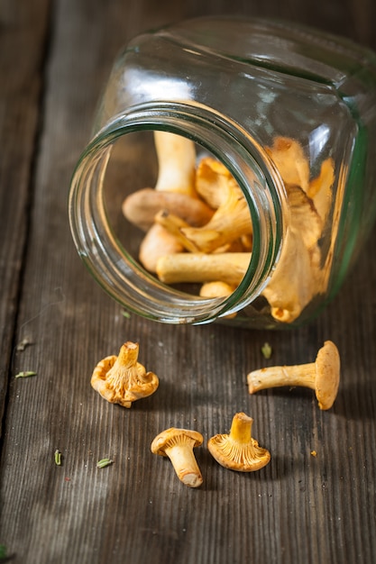 Champignons girolles