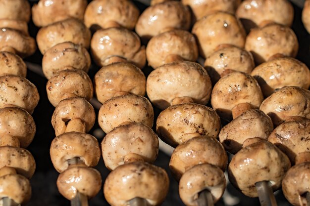 Champignons grillés sur des brochettes cuites au brasier, gros plan.