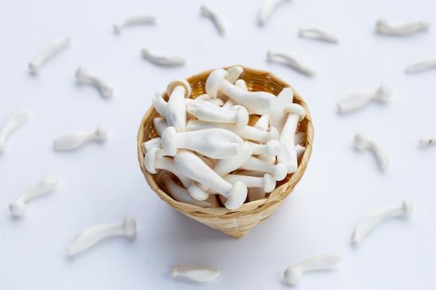 Champignons de hêtre blanc sur surface blanche