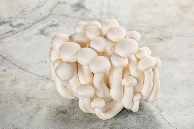 Champignons japonais Shimeji pour la cuisine