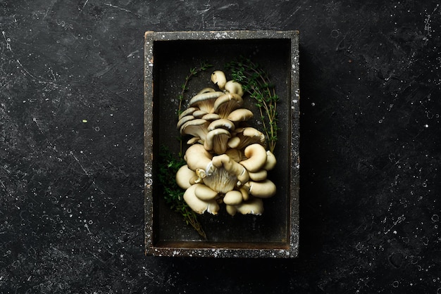 Champignons Maitake biologiques crus dans une boîte en bois sur une table en pierre Vue de dessus