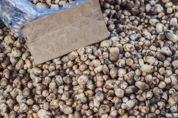 Champignons sur le marché vietnamien