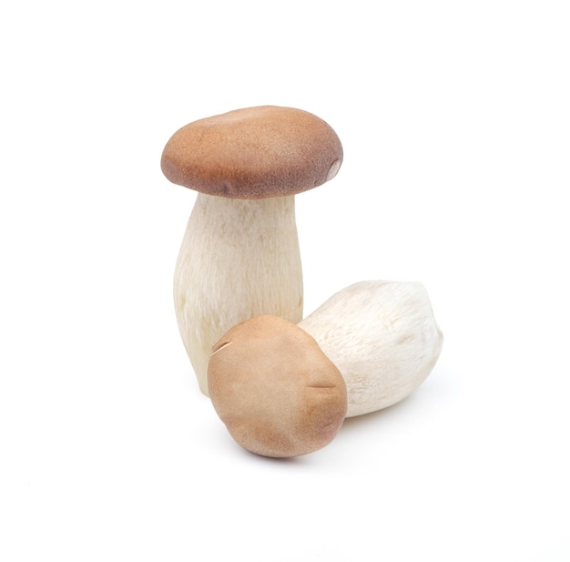 Champignons Orinji sur fond isolé blanc