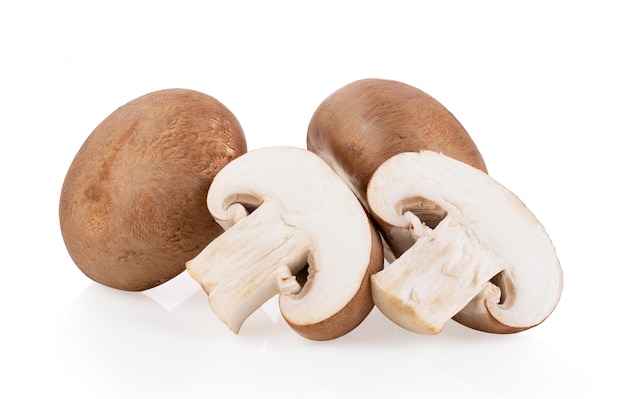 Champignons De Paris Frais Isolés Sur Fond Blanc