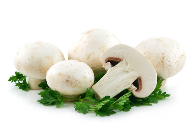 Photo champignons et persil isolés sur fond blanc