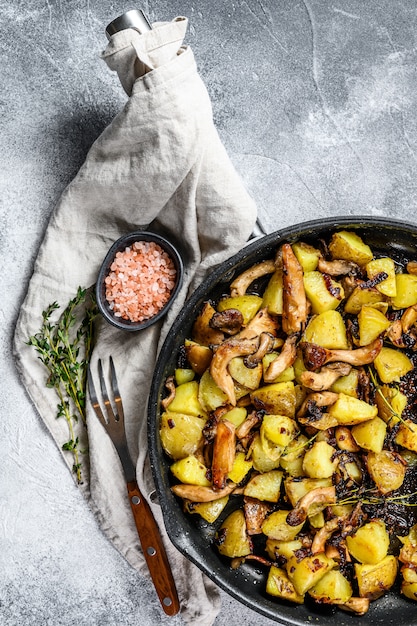 Champignons pleurotes avec pommes de terre dans une casserole. Fond gris. Vue de dessus