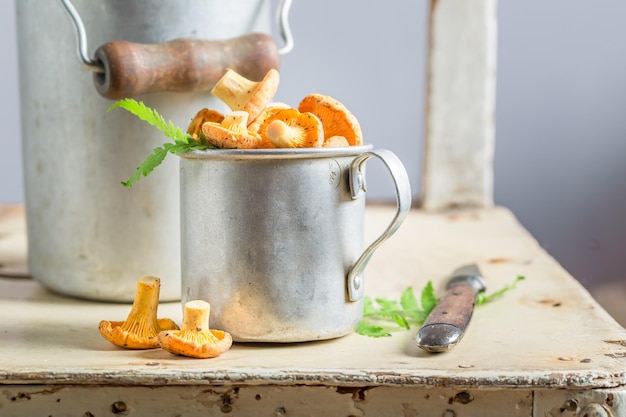 Champignons sains sur fond rustique en bois ancien