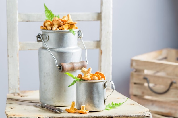 Champignons sains tout droit sortis de la forêt en été