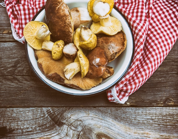 Champignons sauvages comestibles, vue de dessus