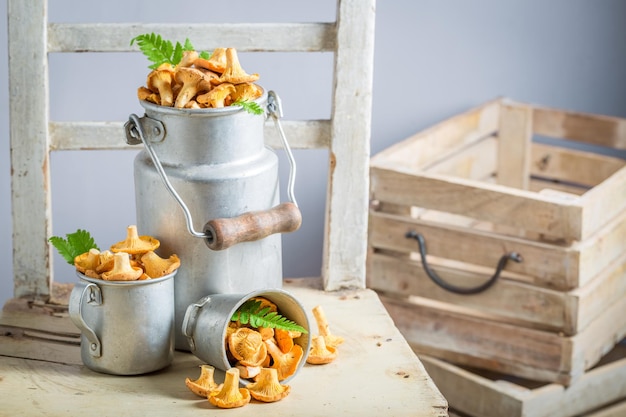 Champignons sauvages tout droit sortis de la forêt en été