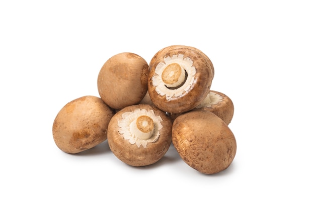 Champignons savoureux isolés