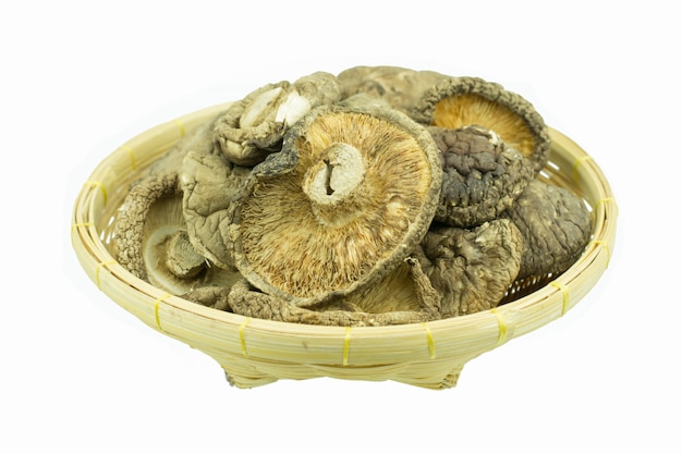 Champignons secs isolés sur fond blanc