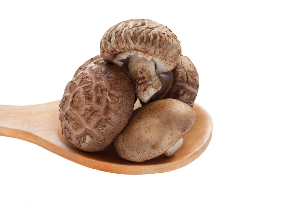 Champignons shiitake sur une cuillère en bois isolé