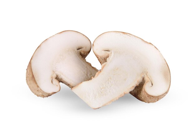 Photo des champignons shiitake sur fond blanc